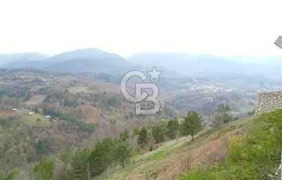 CB CLASS KESTEL GÖZEDE'DE ORMAN MANZARALI YOL+SU 906 M2 TARLA