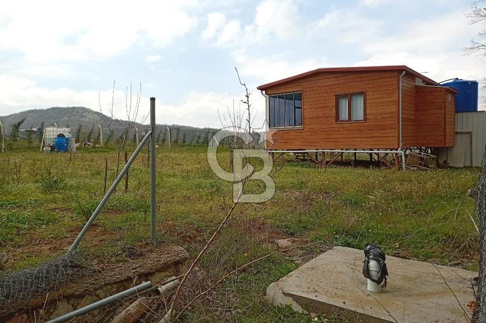 CB CLASS KESTEL GÖZEDE'DE ORMAN MANZARALI YOL+SU 906 M2 TARLA