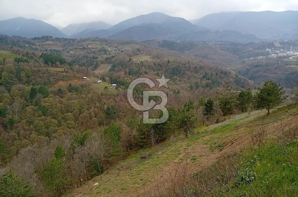 CB CLASS KESTEL GÖZEDE'DE ORMAN MANZARALI YOL+SU 906 M2 TARLA