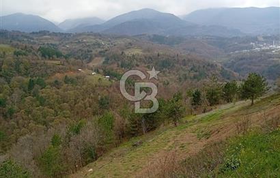 CB CLASS KESTEL GÖZEDE'DE ORMAN MANZARALI YOL+SU 906 M2 TARLA