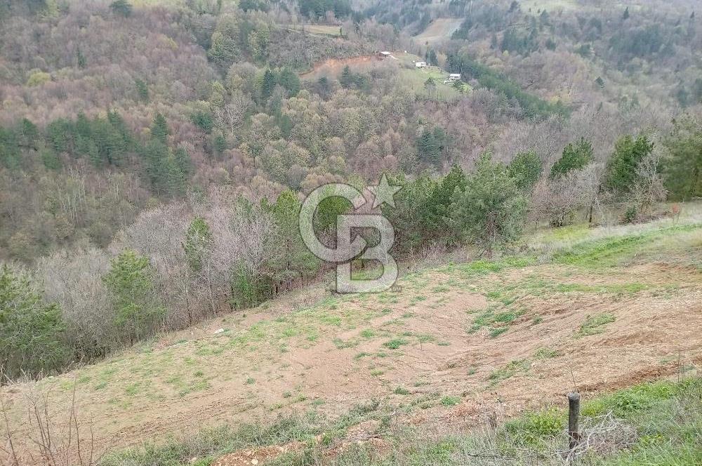 CB CLASS KESTEL GÖZEDE'DE ORMAN MANZARALI YOL+SU 906 M2 TARLA