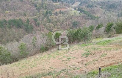 CB CLASS KESTEL GÖZEDE'DE ORMAN MANZARALI YOL+SU 906 M2 TARLA