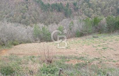 CB CLASS KESTEL GÖZEDE'DE ORMAN MANZARALI YOL+SU 906 M2 TARLA