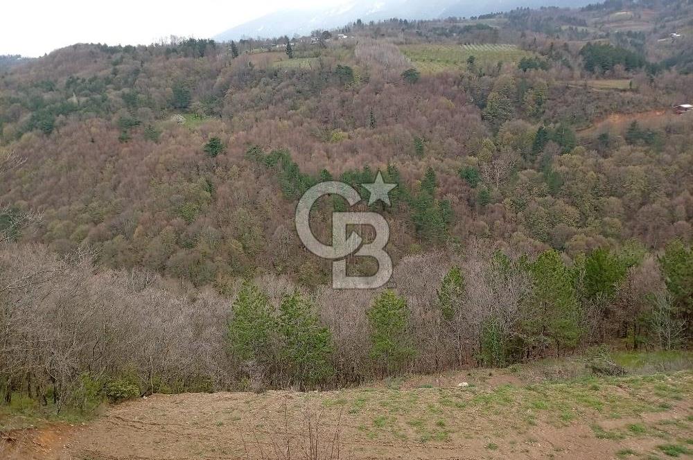 CB CLASS KESTEL GÖZEDE'DE ORMAN MANZARALI YOL+SU 906 M2 TARLA
