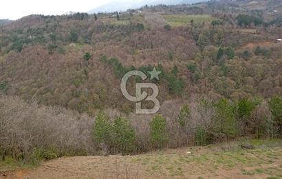 CB CLASS KESTEL GÖZEDE'DE ORMAN MANZARALI YOL+SU 906 M2 TARLA