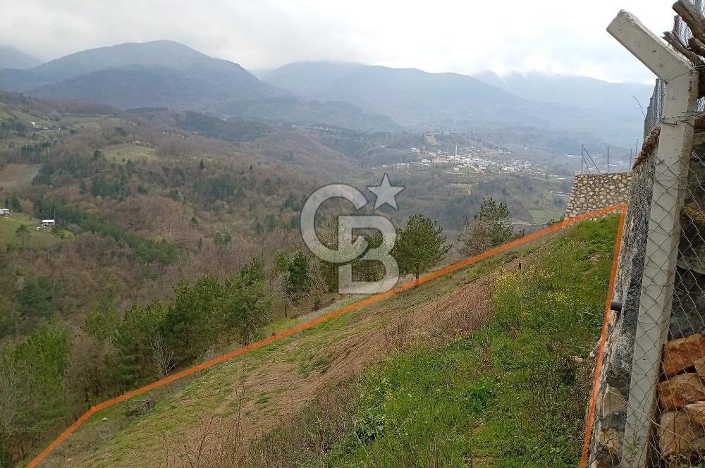 CB CLASS KESTEL GÖZEDE'DE ORMAN MANZARALI YOL+SU 906 M2 TARLA