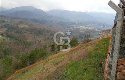 CB CLASS KESTEL GÖZEDE'DE ORMAN MANZARALI YOL+SU 906 M2 TARLA