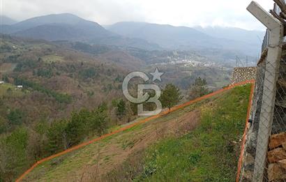 CB CLASS KESTEL GÖZEDE'DE ORMAN MANZARALI YOL+SU 906 M2 TARLA