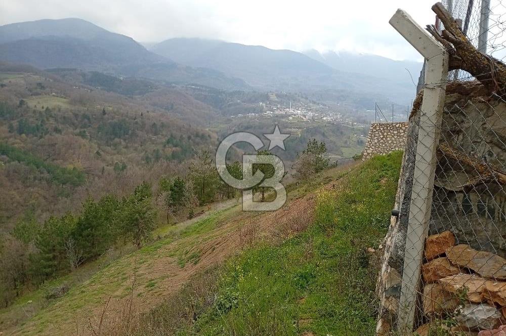 CB CLASS KESTEL GÖZEDE'DE ORMAN MANZARALI YOL+SU 906 M2 TARLA