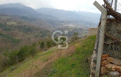 CB CLASS KESTEL GÖZEDE'DE ORMAN MANZARALI YOL+SU 906 M2 TARLA