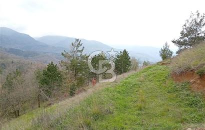 CB CLASS KESTEL GÖZEDE'DE ORMAN MANZARALI YOL+SU 906 M2 TARLA