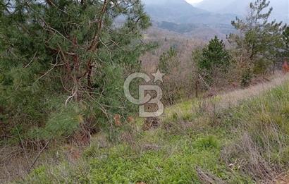 CB CLASS KESTEL GÖZEDE'DE ORMAN MANZARALI YOL+SU 906 M2 TARLA