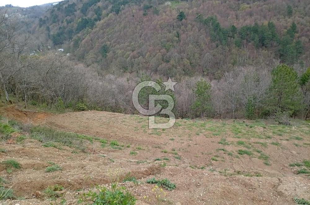 CB CLASS KESTEL GÖZEDE'DE ORMAN MANZARALI YOL+SU 906 M2 TARLA