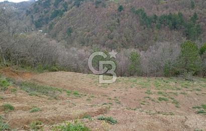 CB CLASS KESTEL GÖZEDE'DE ORMAN MANZARALI YOL+SU 906 M2 TARLA