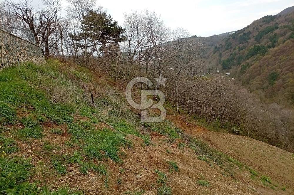 CB CLASS KESTEL GÖZEDE'DE ORMAN MANZARALI YOL+SU 906 M2 TARLA