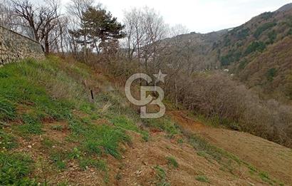 CB CLASS KESTEL GÖZEDE'DE ORMAN MANZARALI YOL+SU 906 M2 TARLA