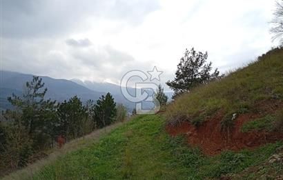 CB CLASS KESTEL GÖZEDE'DE ORMAN MANZARALI YOL+SU 906 M2 TARLA