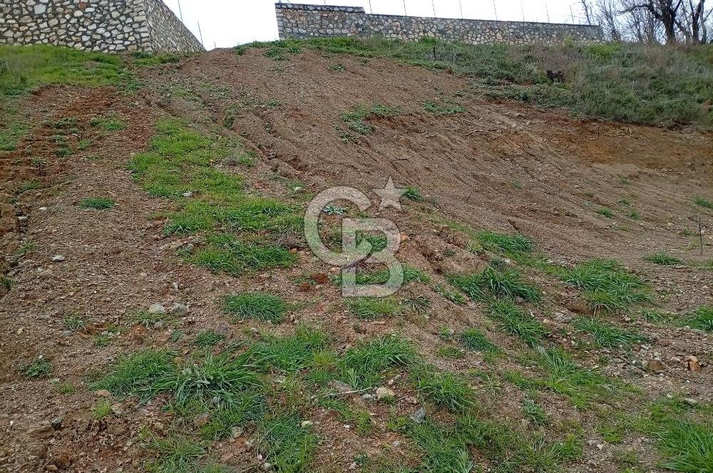 CB CLASS KESTEL GÖZEDE'DE ORMAN MANZARALI YOL+SU 906 M2 TARLA