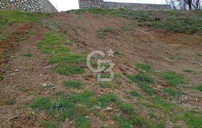 CB CLASS KESTEL GÖZEDE'DE ORMAN MANZARALI YOL+SU 906 M2 TARLA