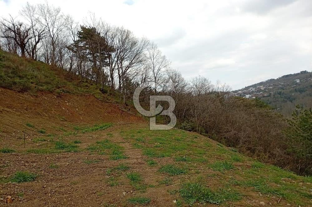 CB CLASS KESTEL GÖZEDE'DE ORMAN MANZARALI YOL+SU 906 M2 TARLA