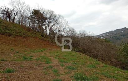 CB CLASS KESTEL GÖZEDE'DE ORMAN MANZARALI YOL+SU 906 M2 TARLA