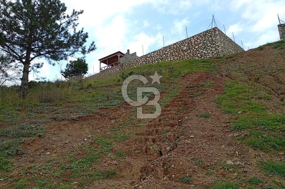 CB CLASS KESTEL GÖZEDE'DE ORMAN MANZARALI YOL+SU 906 M2 TARLA