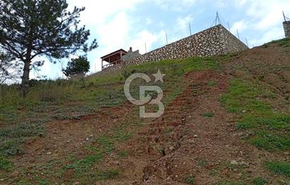 CB CLASS KESTEL GÖZEDE'DE ORMAN MANZARALI YOL+SU 906 M2 TARLA