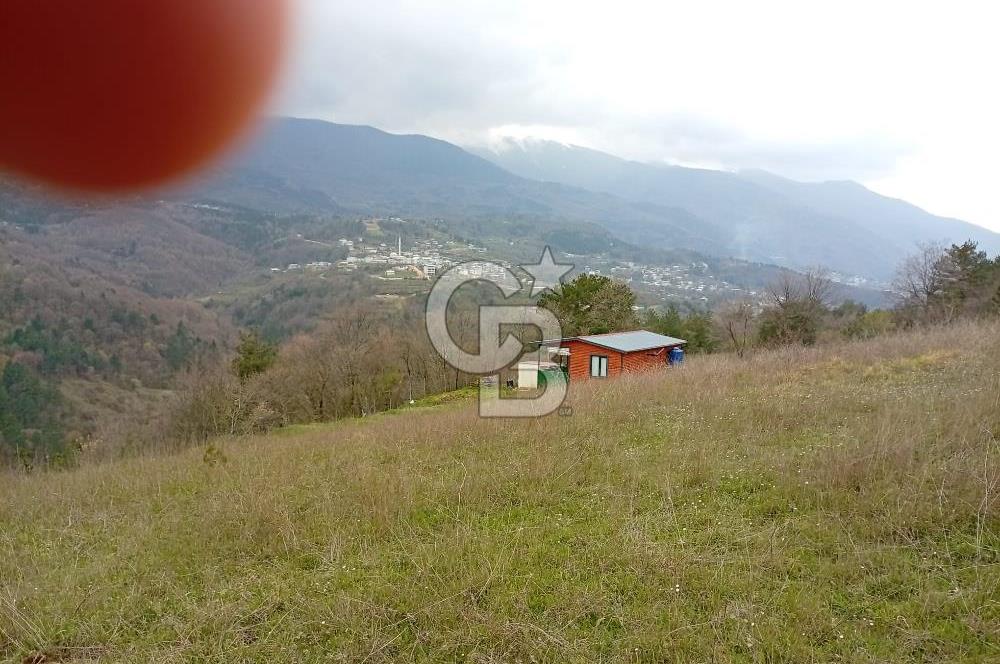 CB CLASS KESTEL GÖZEDE'DE ORMAN MANZARALI YOL+SU 906 M2 TARLA