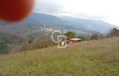 CB CLASS KESTEL GÖZEDE'DE ORMAN MANZARALI YOL+SU 906 M2 TARLA