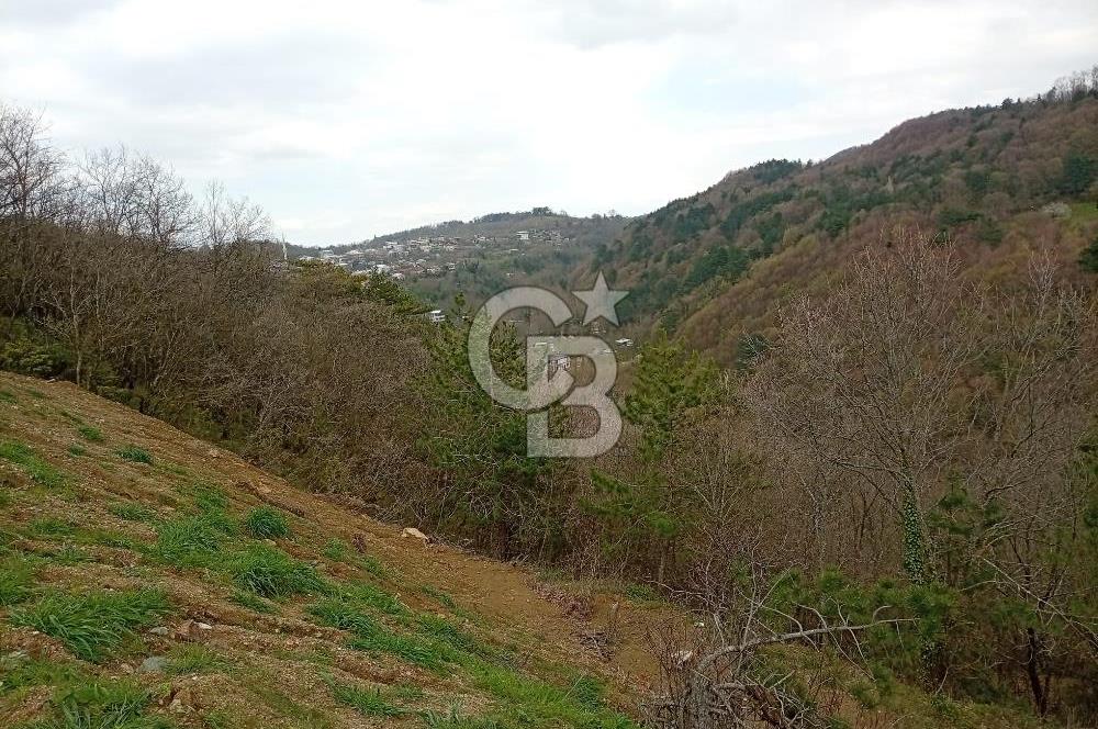 CB CLASS KESTEL GÖZEDE'DE ORMAN MANZARALI YOL+SU 906 M2 TARLA