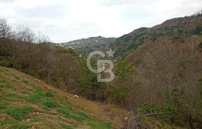 CB CLASS KESTEL GÖZEDE'DE ORMAN MANZARALI YOL+SU 906 M2 TARLA