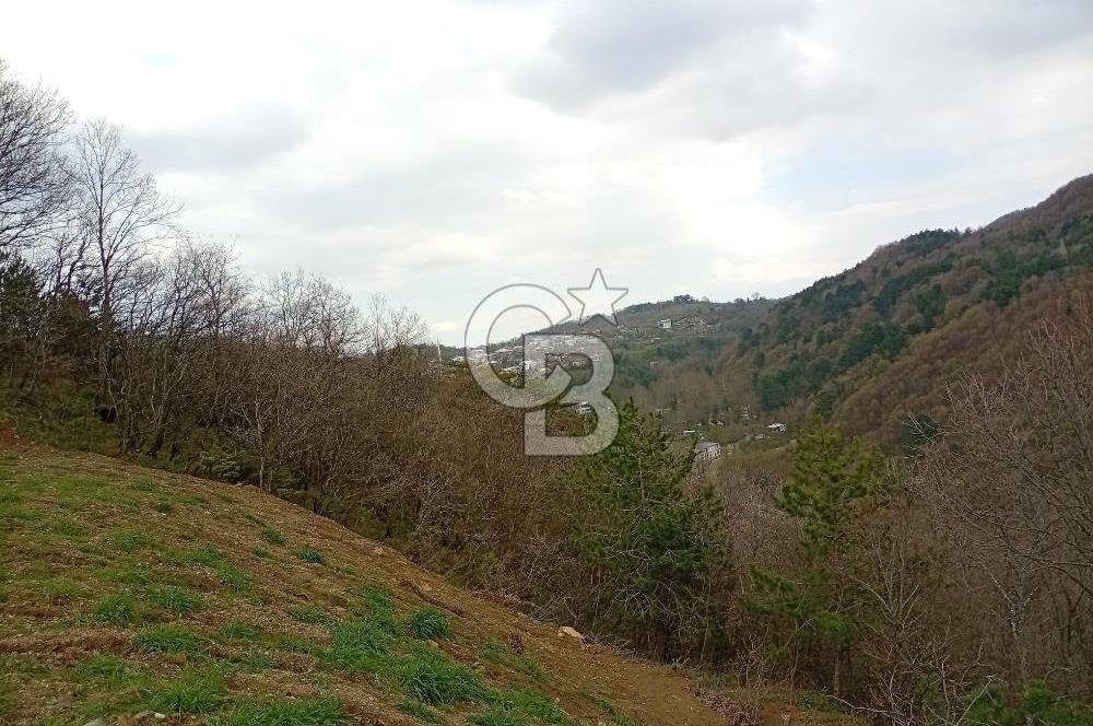 CB CLASS KESTEL GÖZEDE'DE ORMAN MANZARALI YOL+SU 906 M2 TARLA