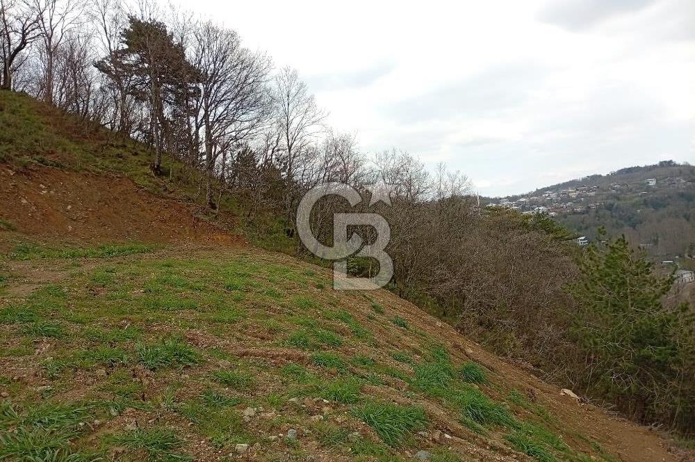 CB CLASS KESTEL GÖZEDE'DE ORMAN MANZARALI YOL+SU 906 M2 TARLA