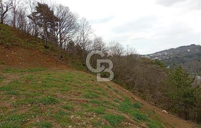 CB CLASS KESTEL GÖZEDE'DE ORMAN MANZARALI YOL+SU 906 M2 TARLA