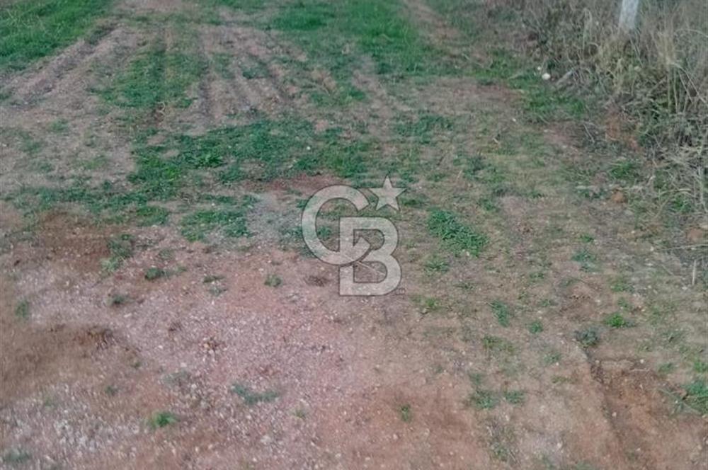 CB CLASS KESTEL GÖZEDE'DE ORMAN MANZARALI YOL+SU 906 M2 TARLA