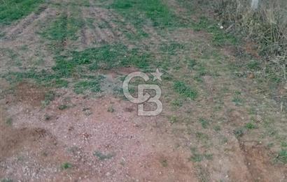 CB CLASS KESTEL GÖZEDE'DE ORMAN MANZARALI YOL+SU 906 M2 TARLA