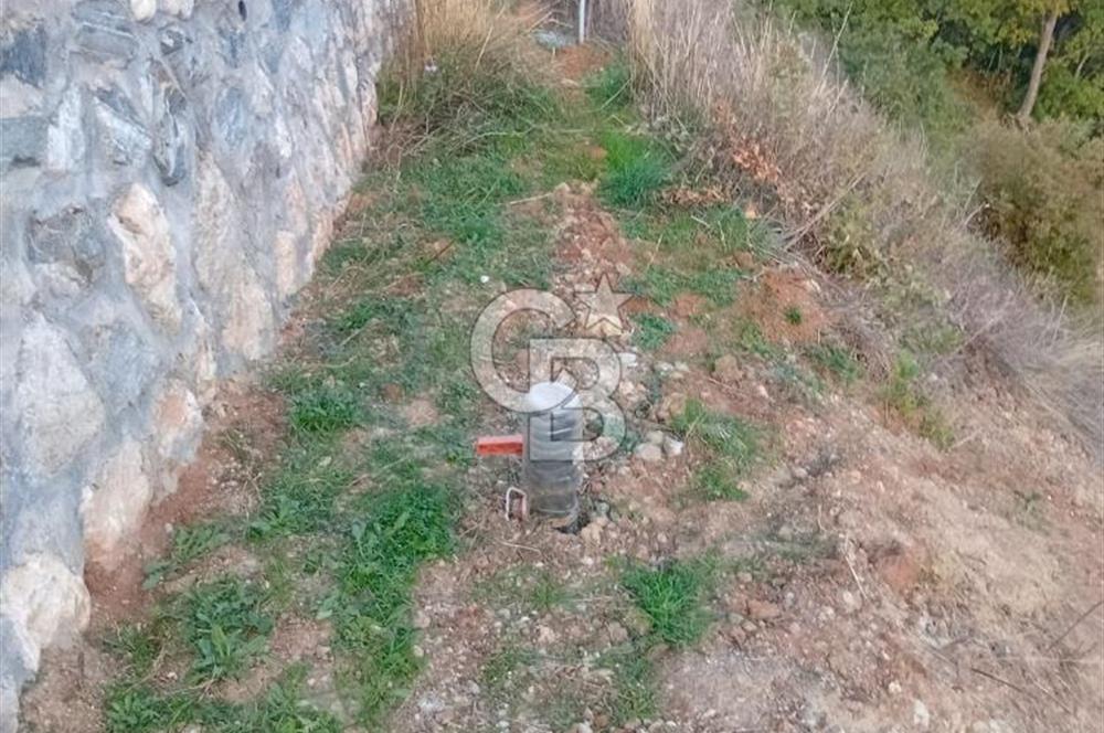 CB CLASS KESTEL GÖZEDE'DE ORMAN MANZARALI YOL+SU 906 M2 TARLA