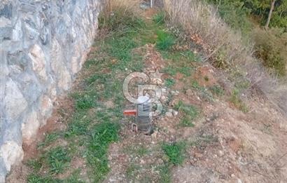 CB CLASS KESTEL GÖZEDE'DE ORMAN MANZARALI YOL+SU 906 M2 TARLA