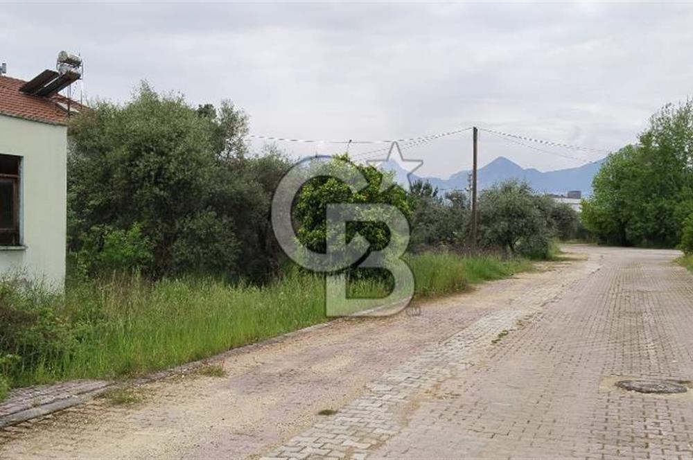 YEŞİLBAYIRDA ARSAYI ALAN EV KAZANIYOR