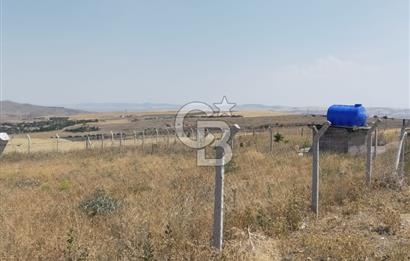 Gölbaşı Soğulcak'ta 1500m² Tarla Yatırım Fırsatı