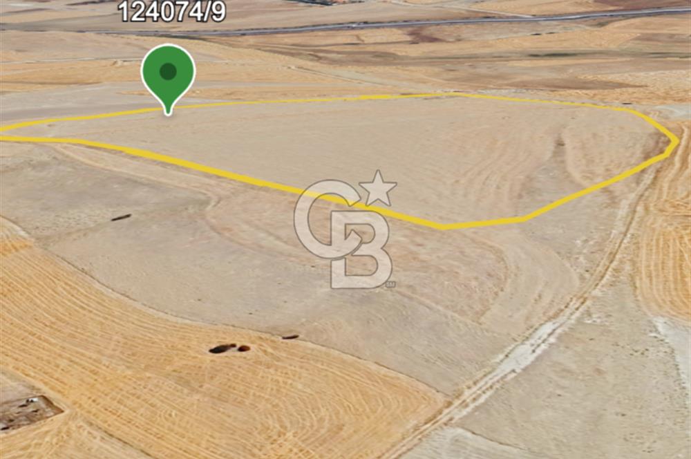 Gölbaşı Soğulcak'ta 1500m² Tarla Yatırım Fırsatı