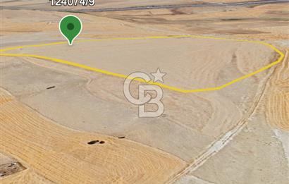 Gölbaşı Soğulcak'ta 1500m² Tarla Yatırım Fırsatı