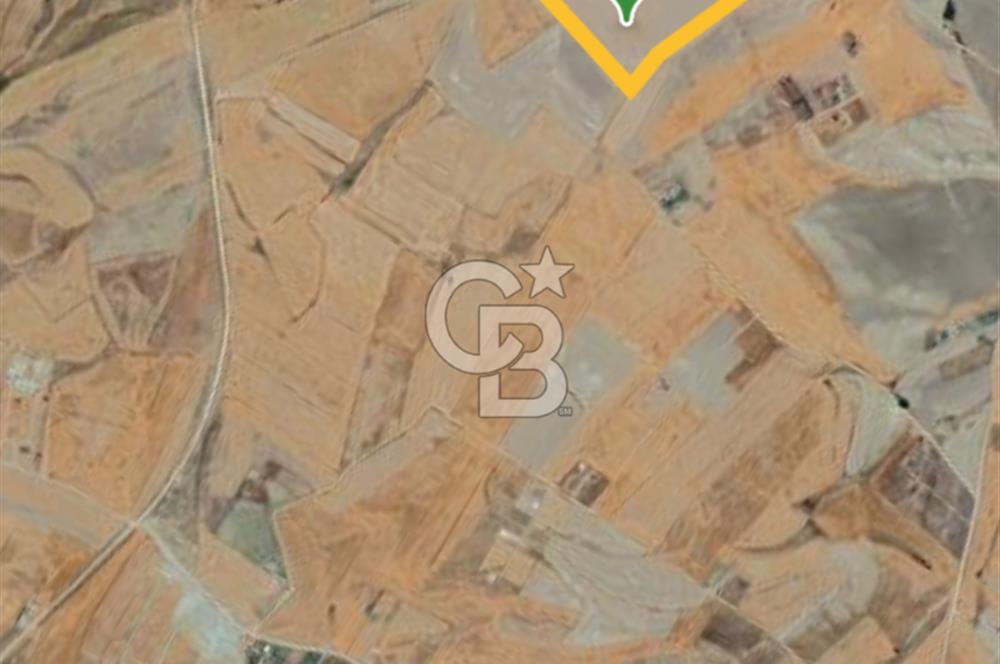 Gölbaşı Soğulcak'ta 1500m² Tarla Yatırım Fırsatı