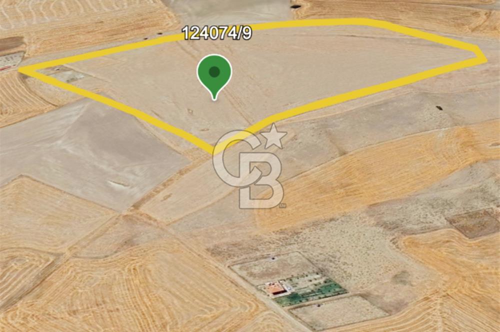 Gölbaşı Soğulcak'ta 1500m² Tarla Yatırım Fırsatı