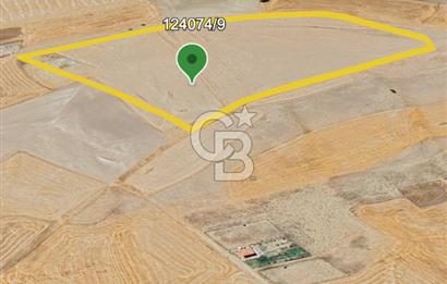 Gölbaşı Soğulcak'ta 1500m² Tarla Yatırım Fırsatı