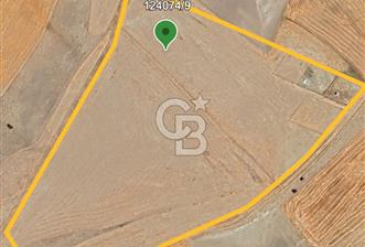 Gölbaşı Soğulcak'ta 1500m² Tarla Yatırım Fırsatı - 12 - 346067