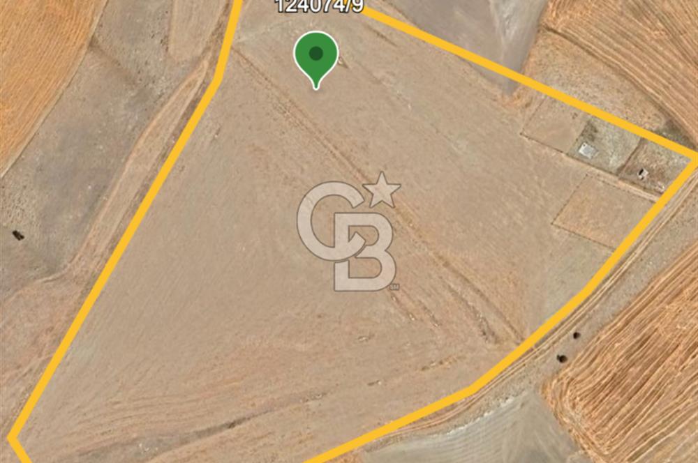 Gölbaşı Soğulcak'ta 1500m² Tarla Yatırım Fırsatı