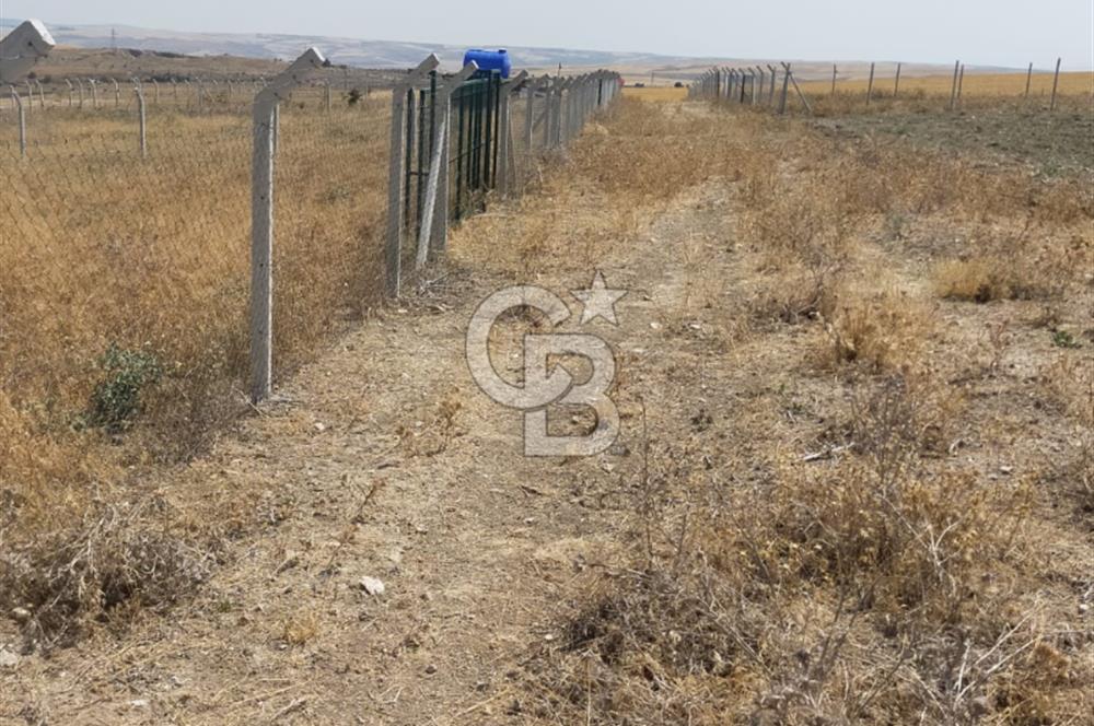 Gölbaşı Soğulcak'ta 1500m² Tarla Yatırım Fırsatı