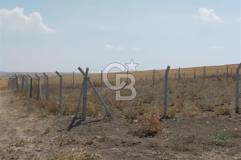 Gölbaşı Soğulcak'ta 1500m² Tarla Yatırım Fırsatı