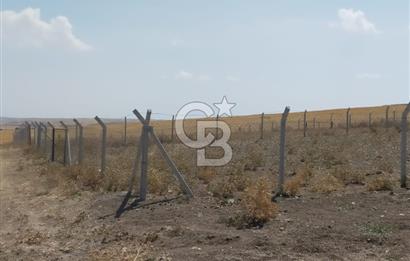 Gölbaşı Soğulcak'ta 1500m² Tarla Yatırım Fırsatı